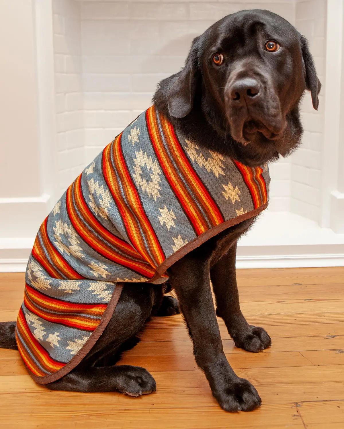Denim Sunset Blanket Dog Coat << Final Sale >> 1