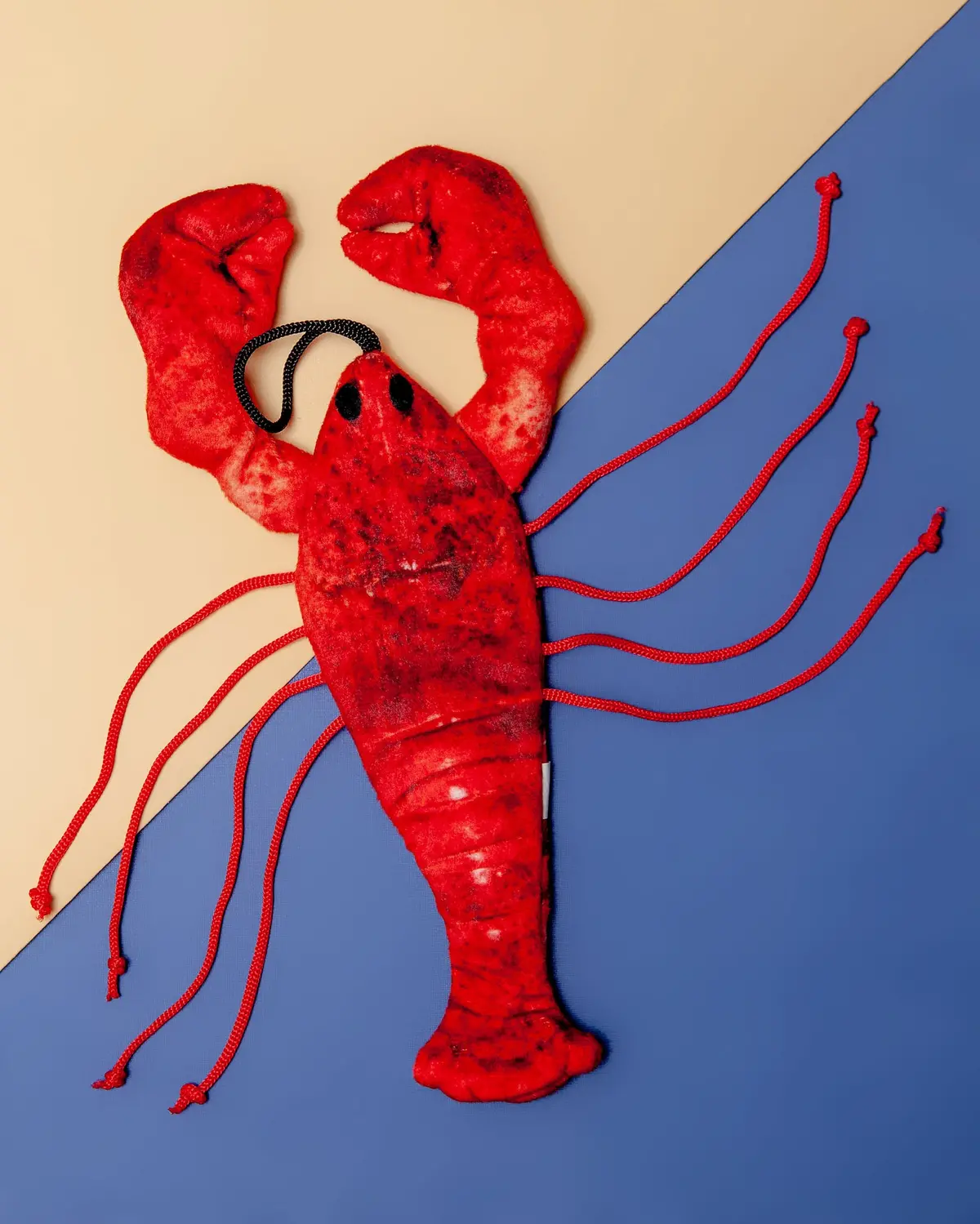 Red The Lobster Cat Toy << Final Sale >> 1
