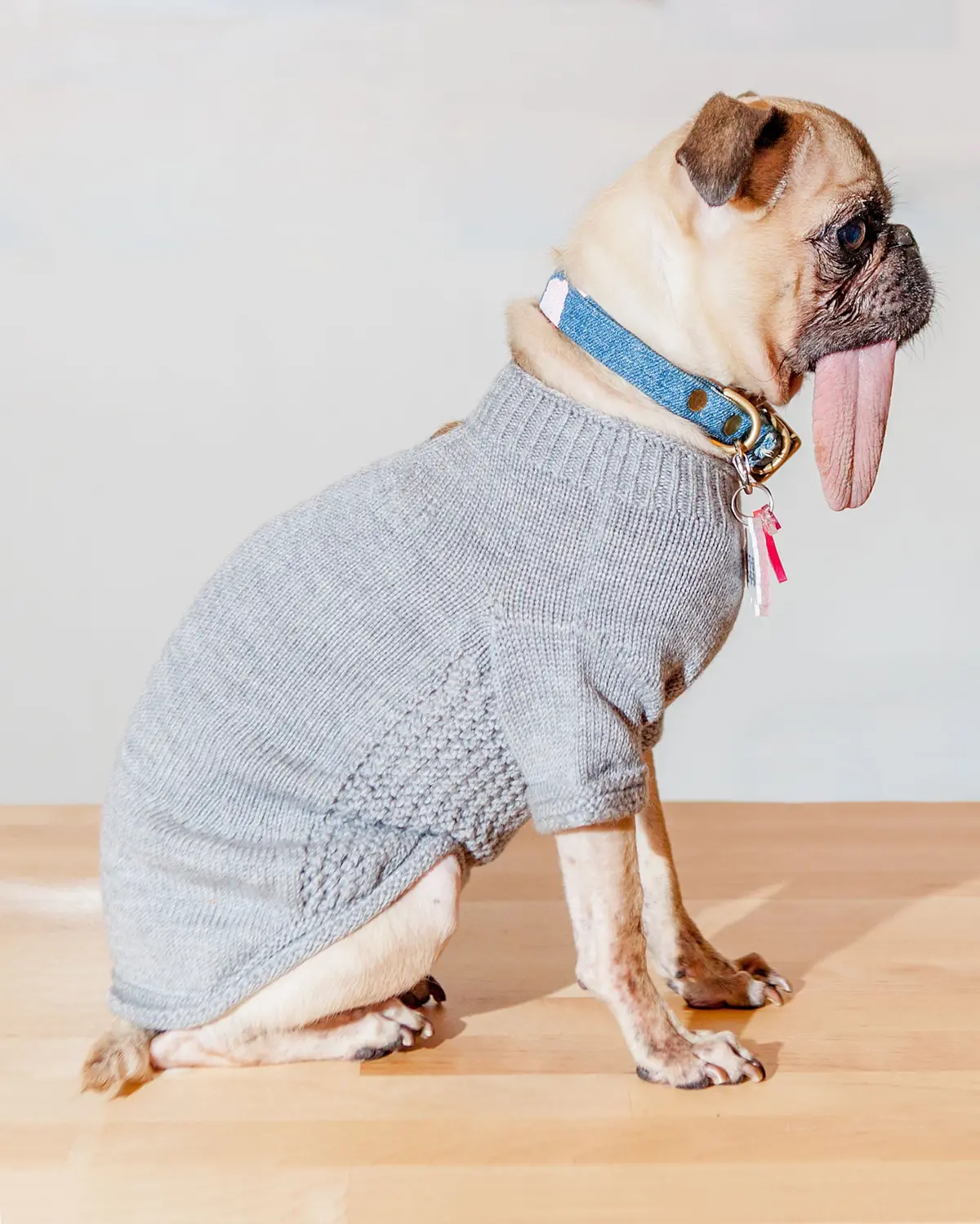 The Mabel Dog Sweater In Grey (Made In The Usa) << Final Sale >> 1
