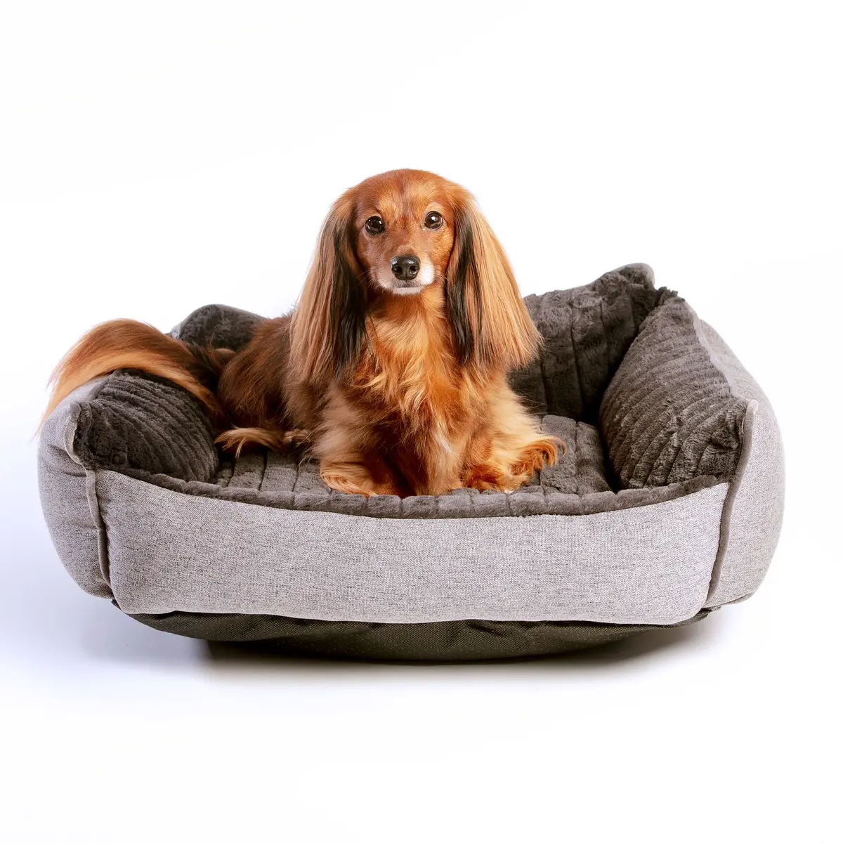 Deep Edge Plush & Tweed Dog Daybed 1