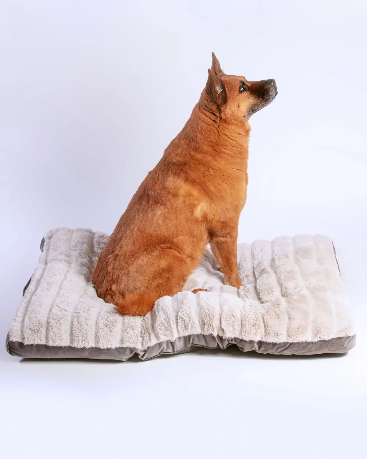 Dutch Velvet & Plush Essential Mat In Grey << Final Sale >> 1