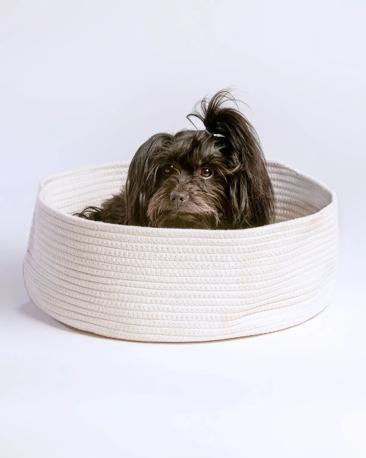 The Marmabea Basket Pet Bed With Furry Pillow (Final Sale) 1