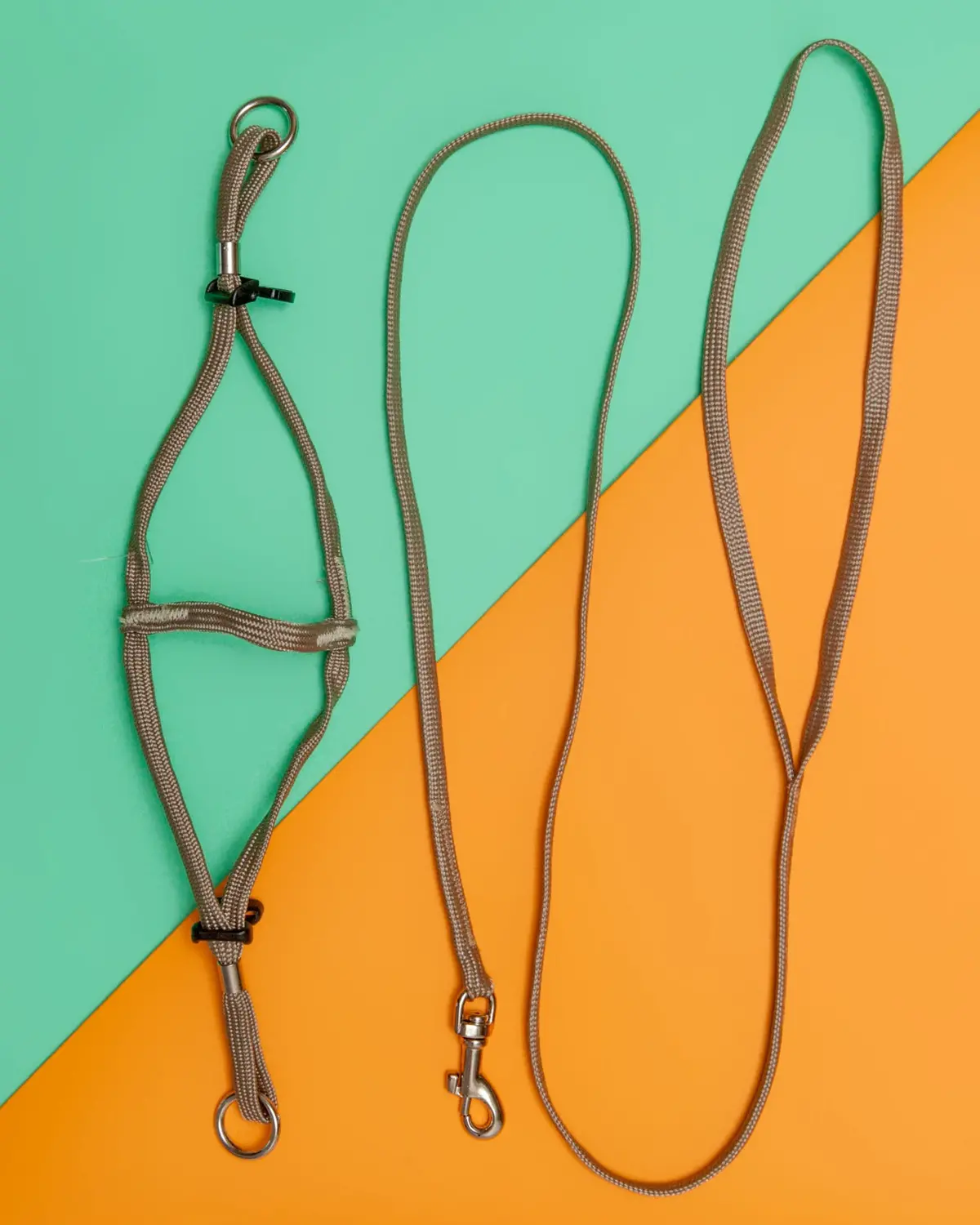 Tiny Dog Step-In Harness + Lead In Tan 1