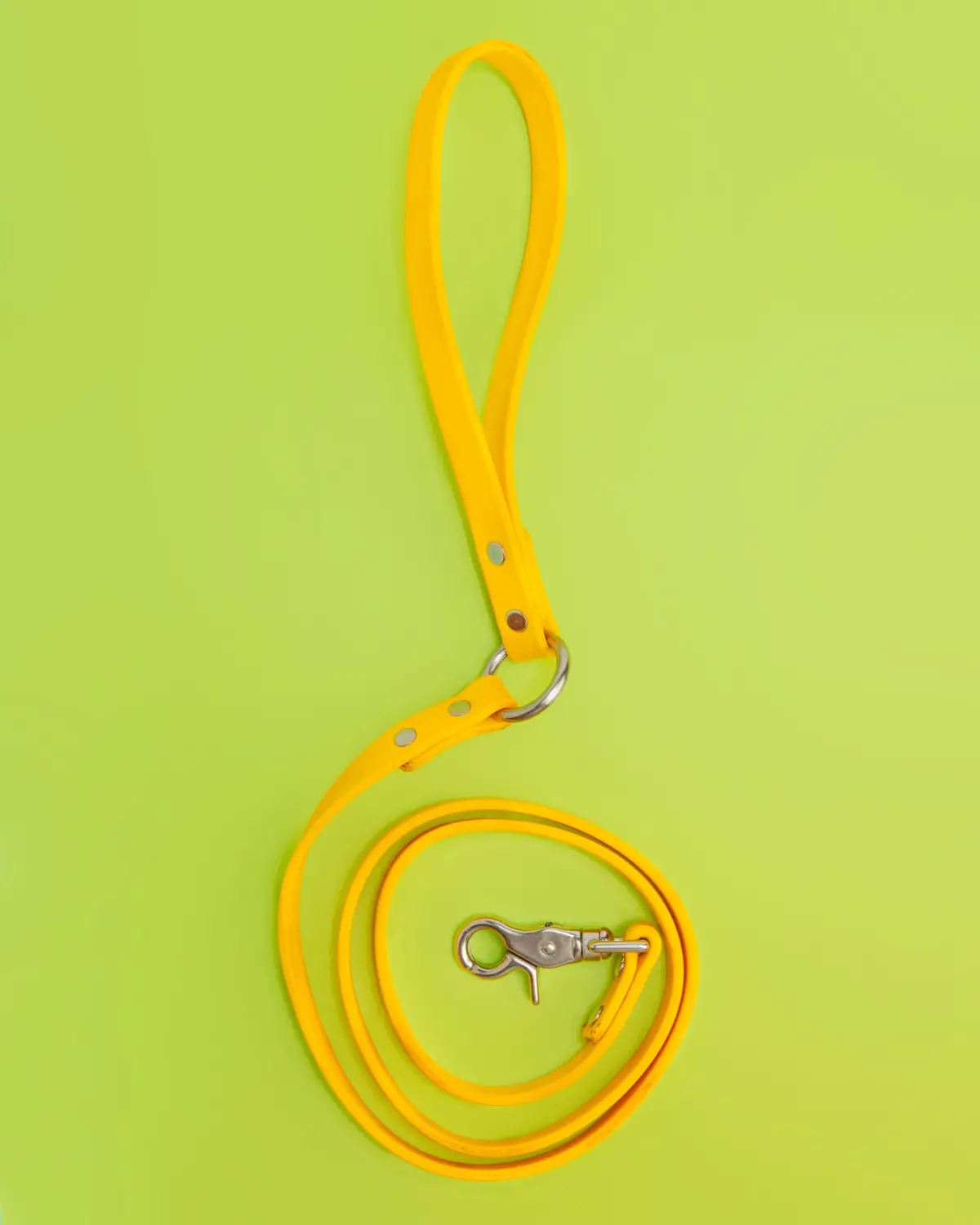City Leash In Golden Yellow 1