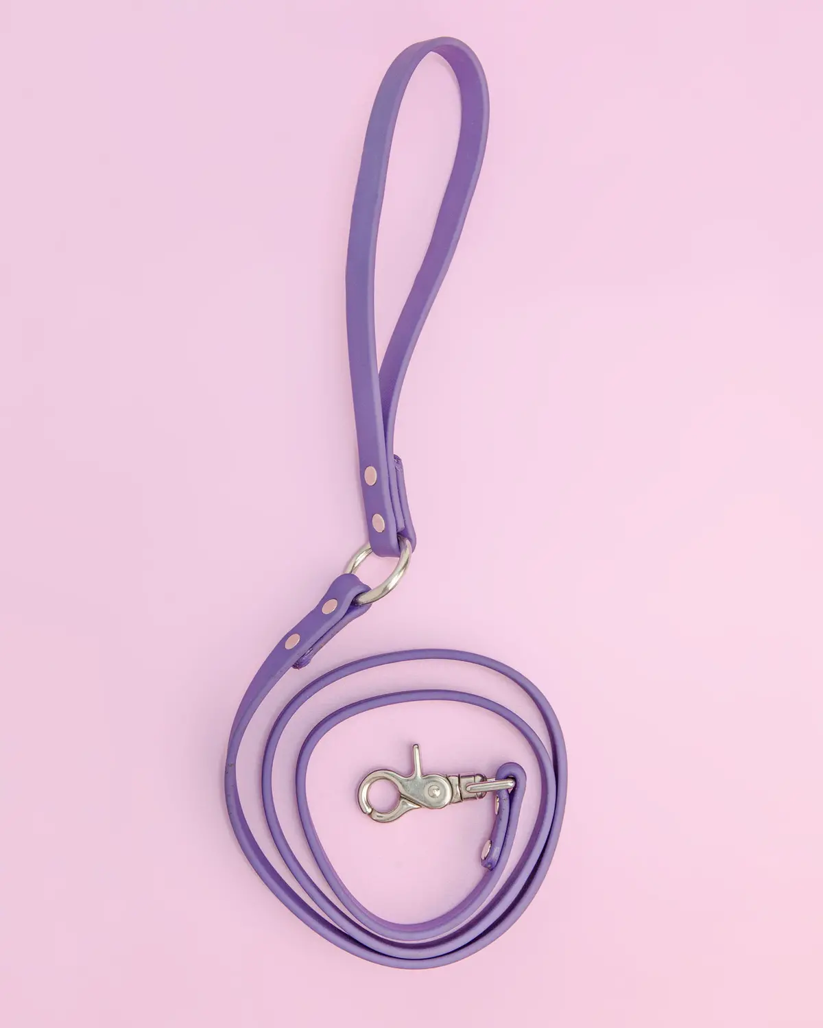 City Leash In Royal Purple (Final Sale) 1