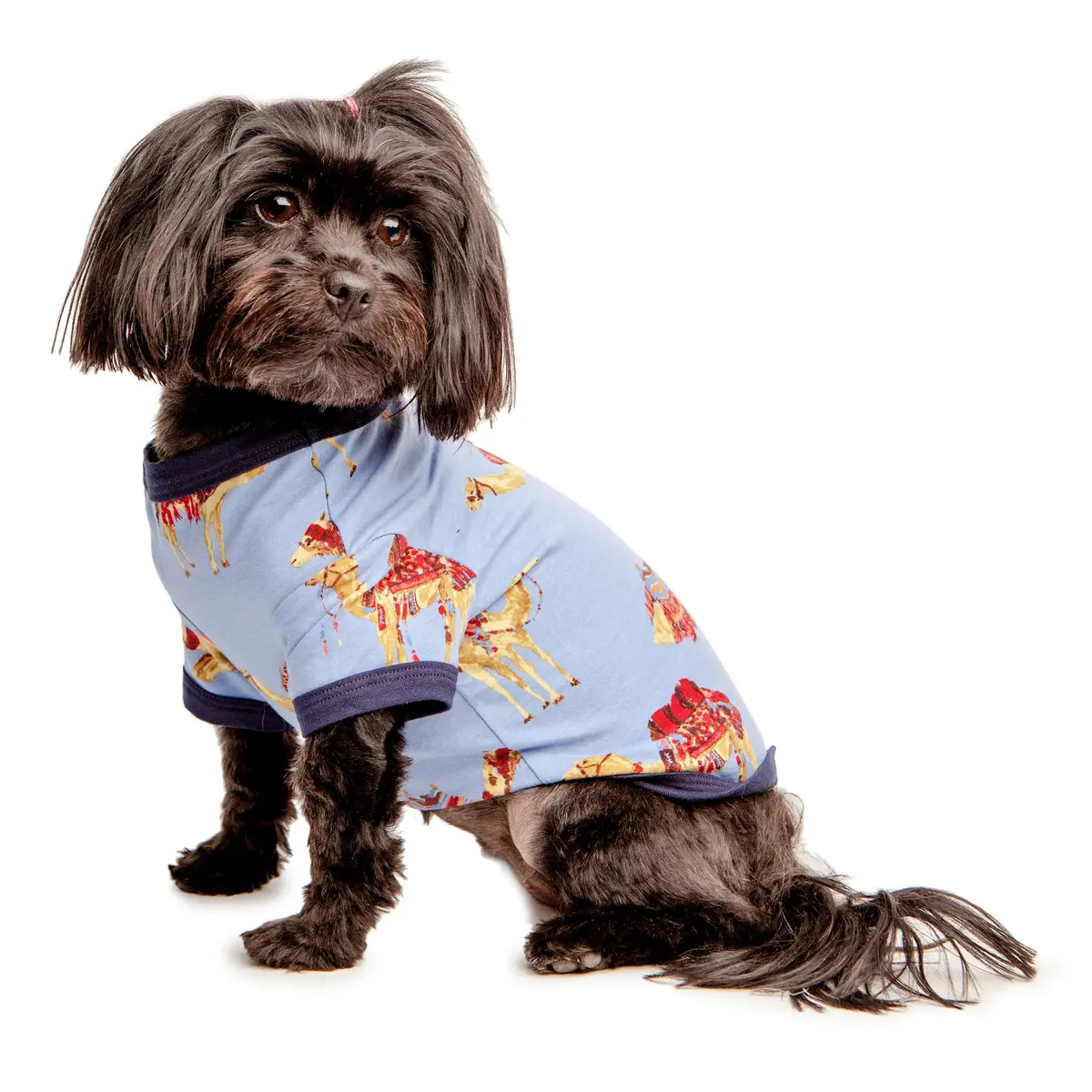 Bedhead | Lounge Dog T In Caravan 1