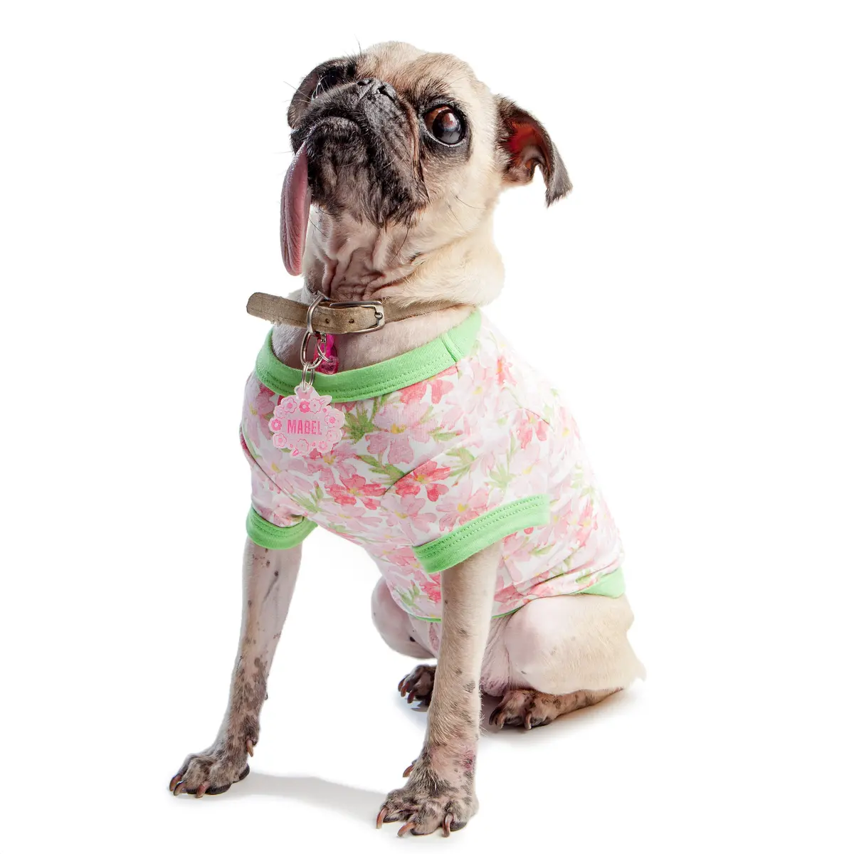 Bedhead | Lounge Dog T In Flower Bed 1