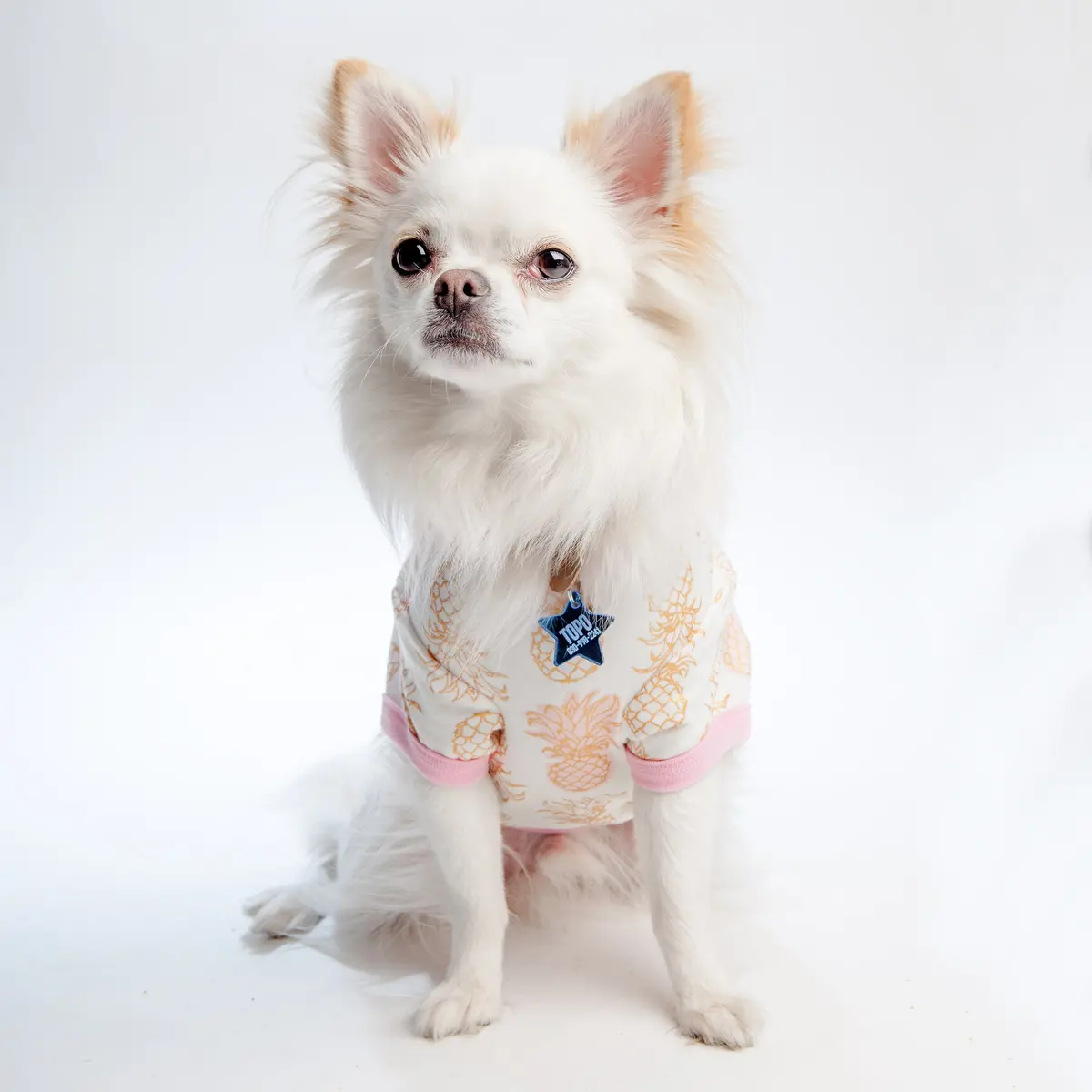 Bedhead | Lounge Dog T In Golden Pineapple 1