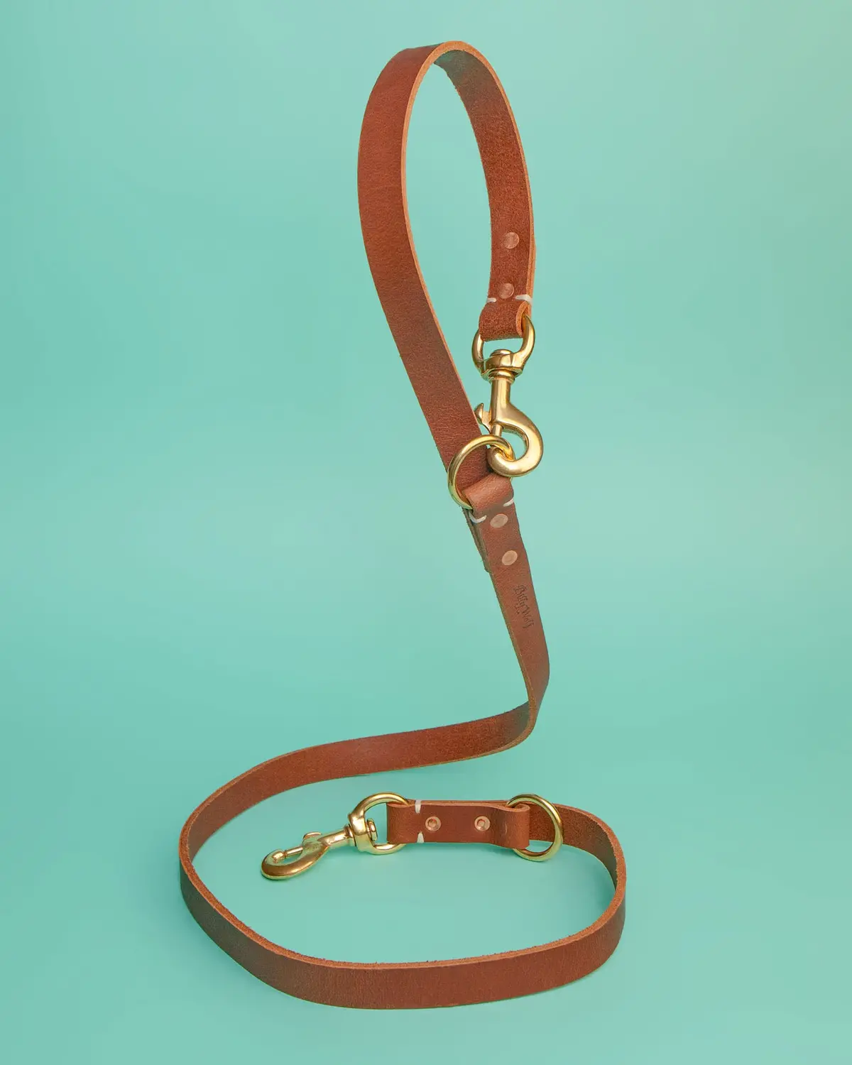 Rambler 3-In-1 Dog Leash In Terra 1