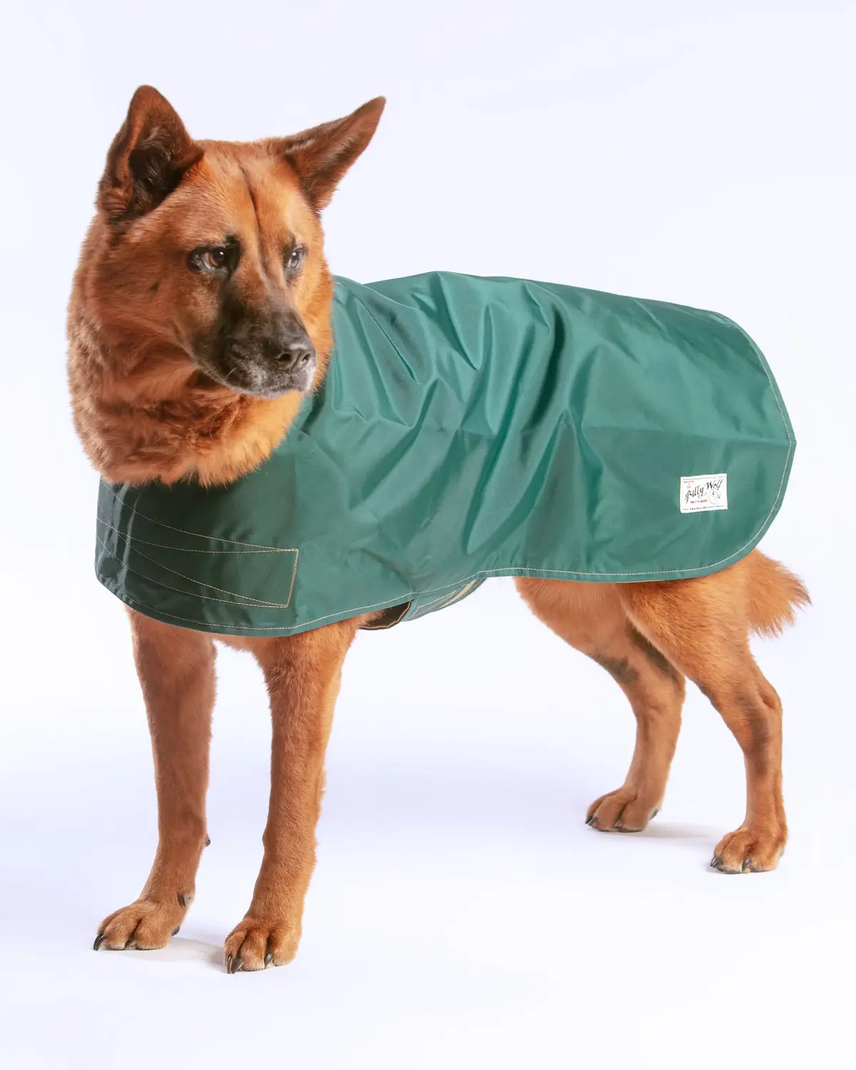 Carson Reversible Dog Raincoat In Green & Tan (Made In The Usa) << Final Sale >> 1