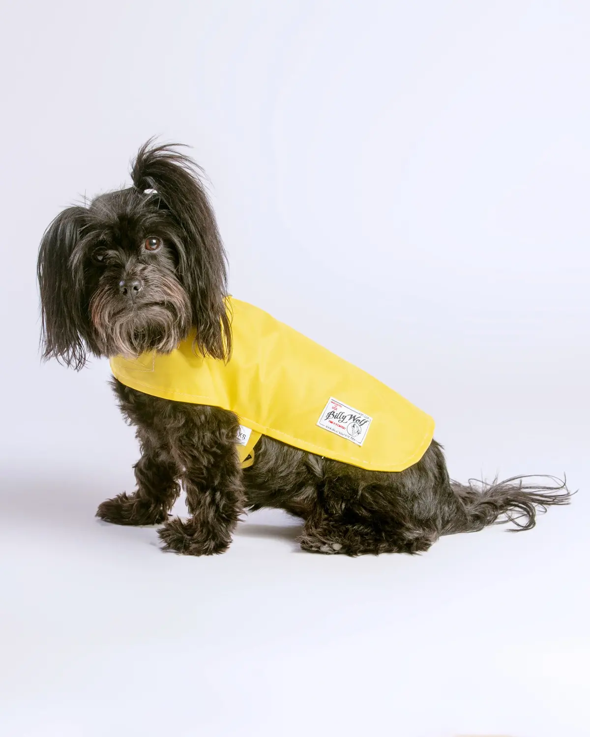 Carson Reversible Dog Raincoat In Khaki & Yellow (Made In The Usa) << Final Sale >> 1