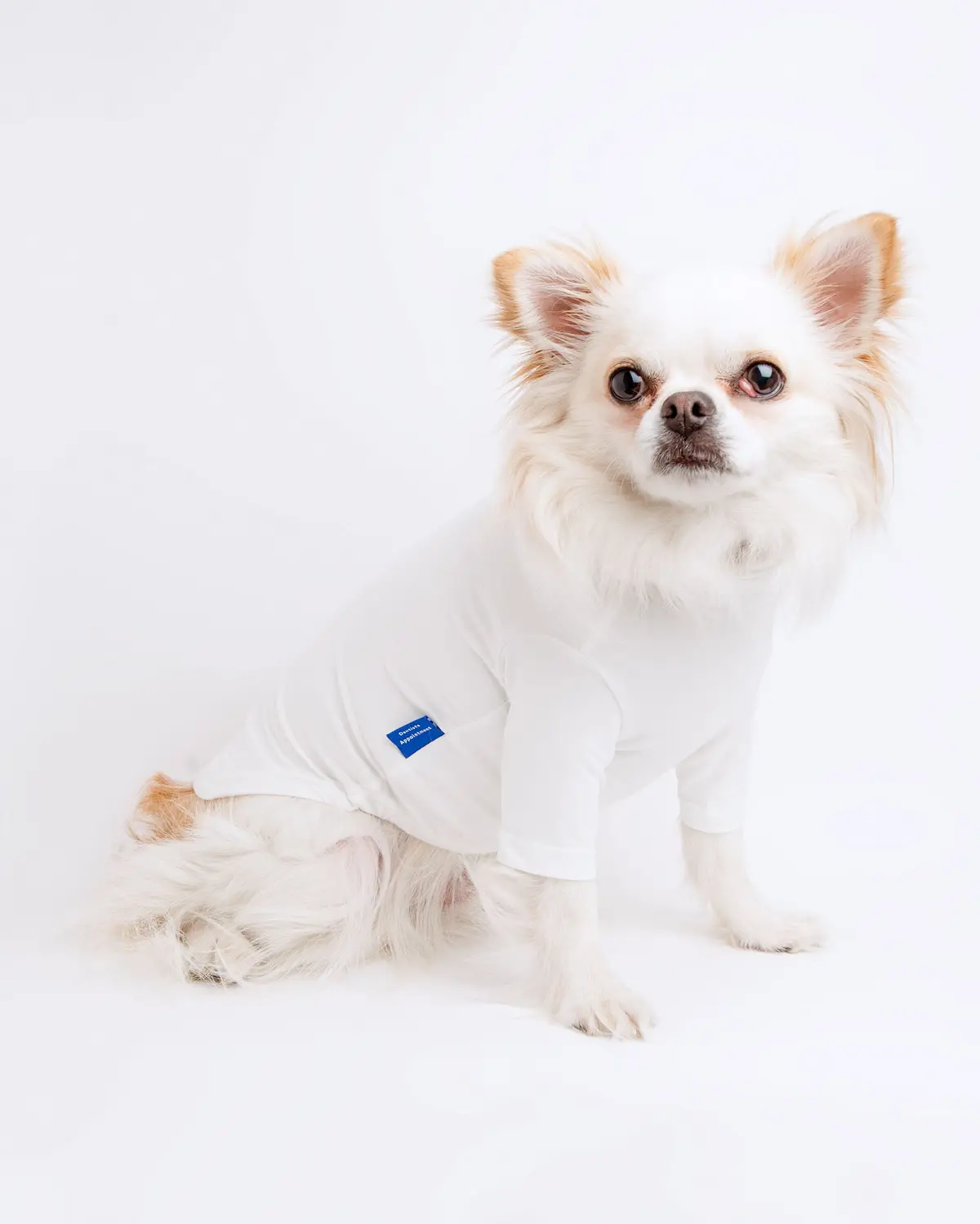 Body Warm Turtleneck In White (Final Sale) 1
