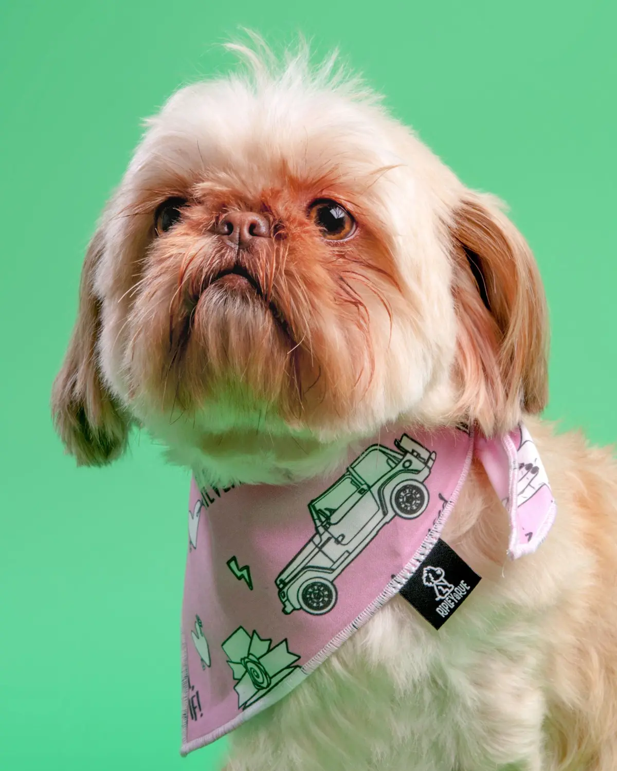 Chewless™ As If Dog Bandana (Final Sale) 1