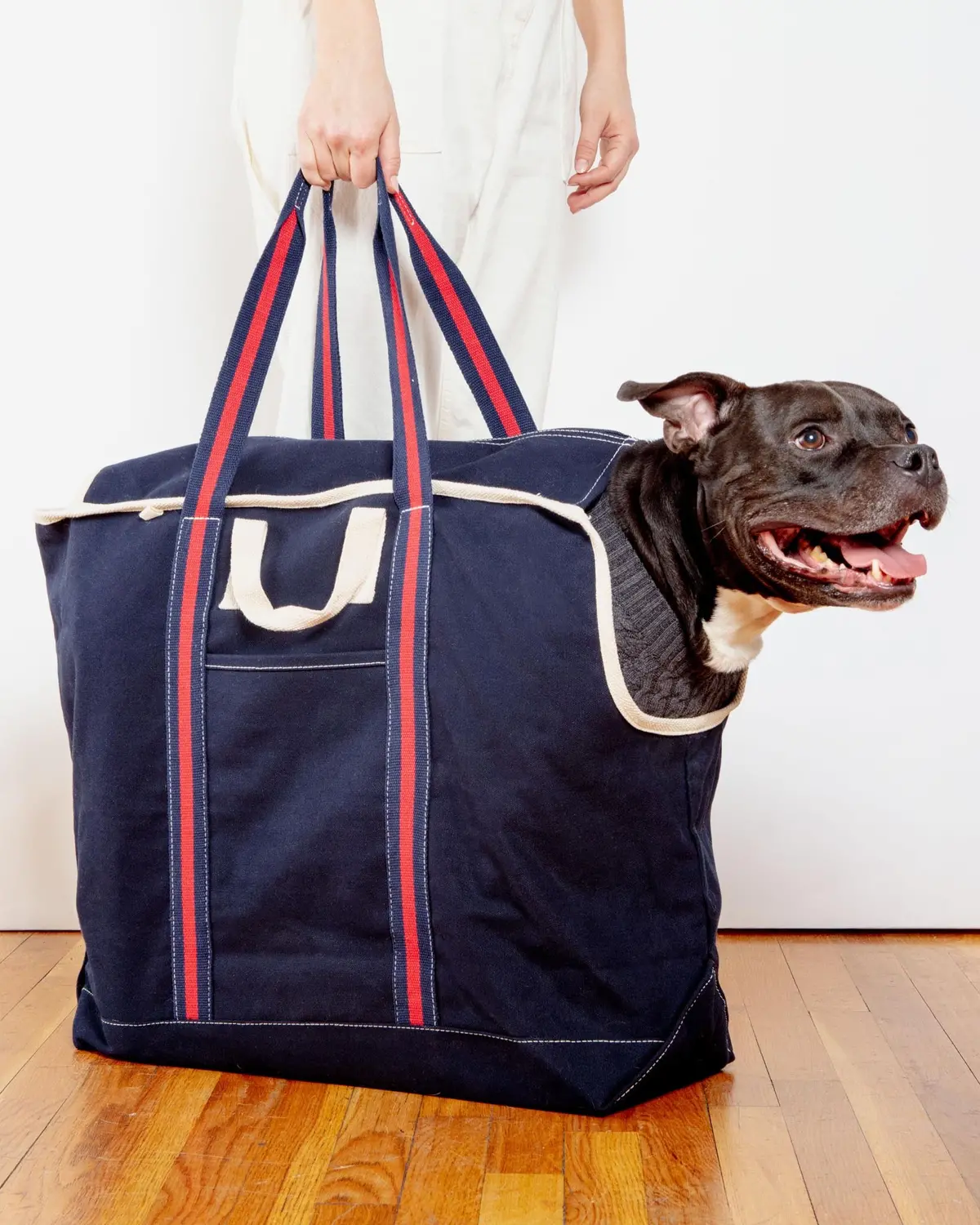 City Carrier Dog Bag In Size 4 1