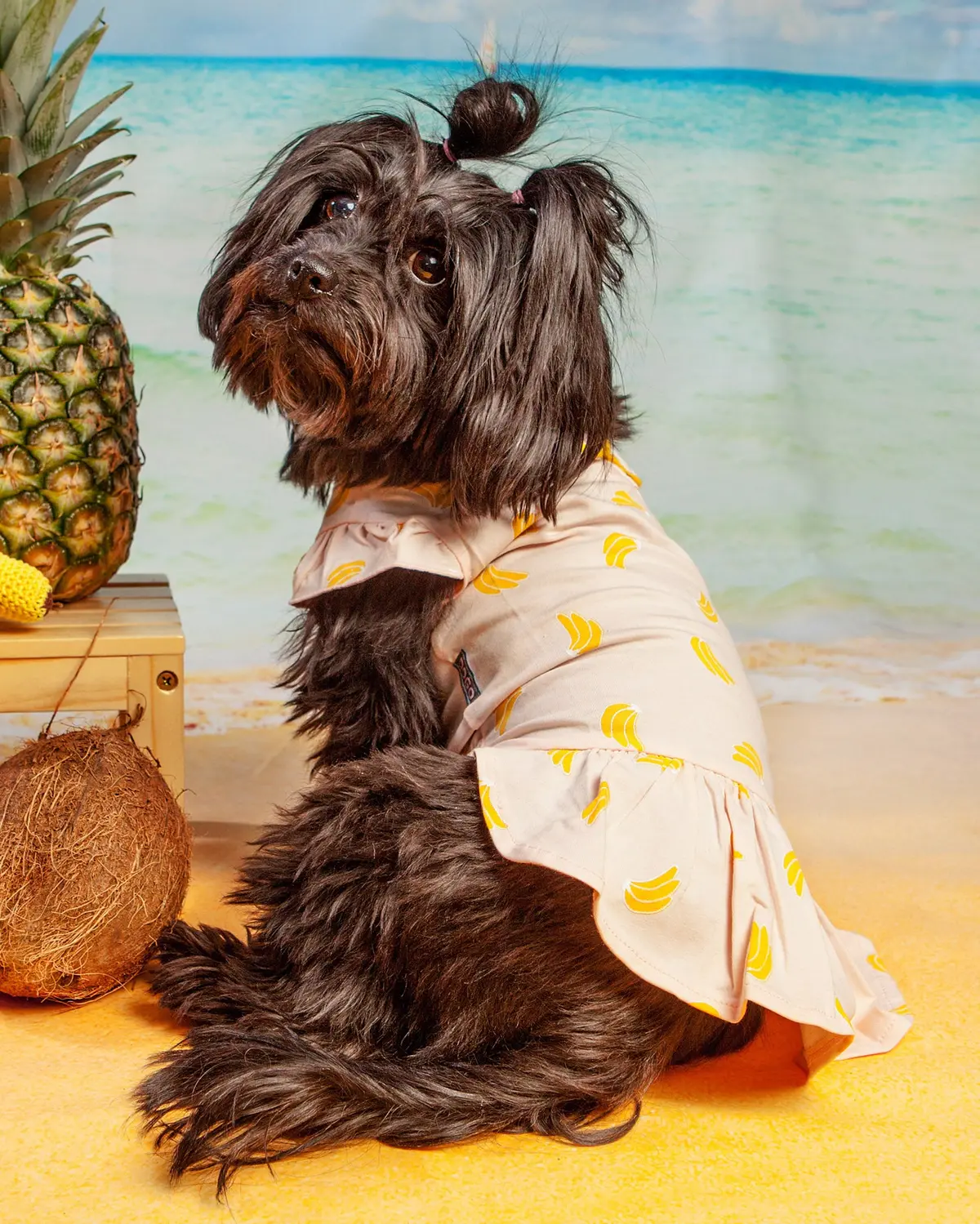 Bananas Lightweight Dog Dress (Final Sale) 1
