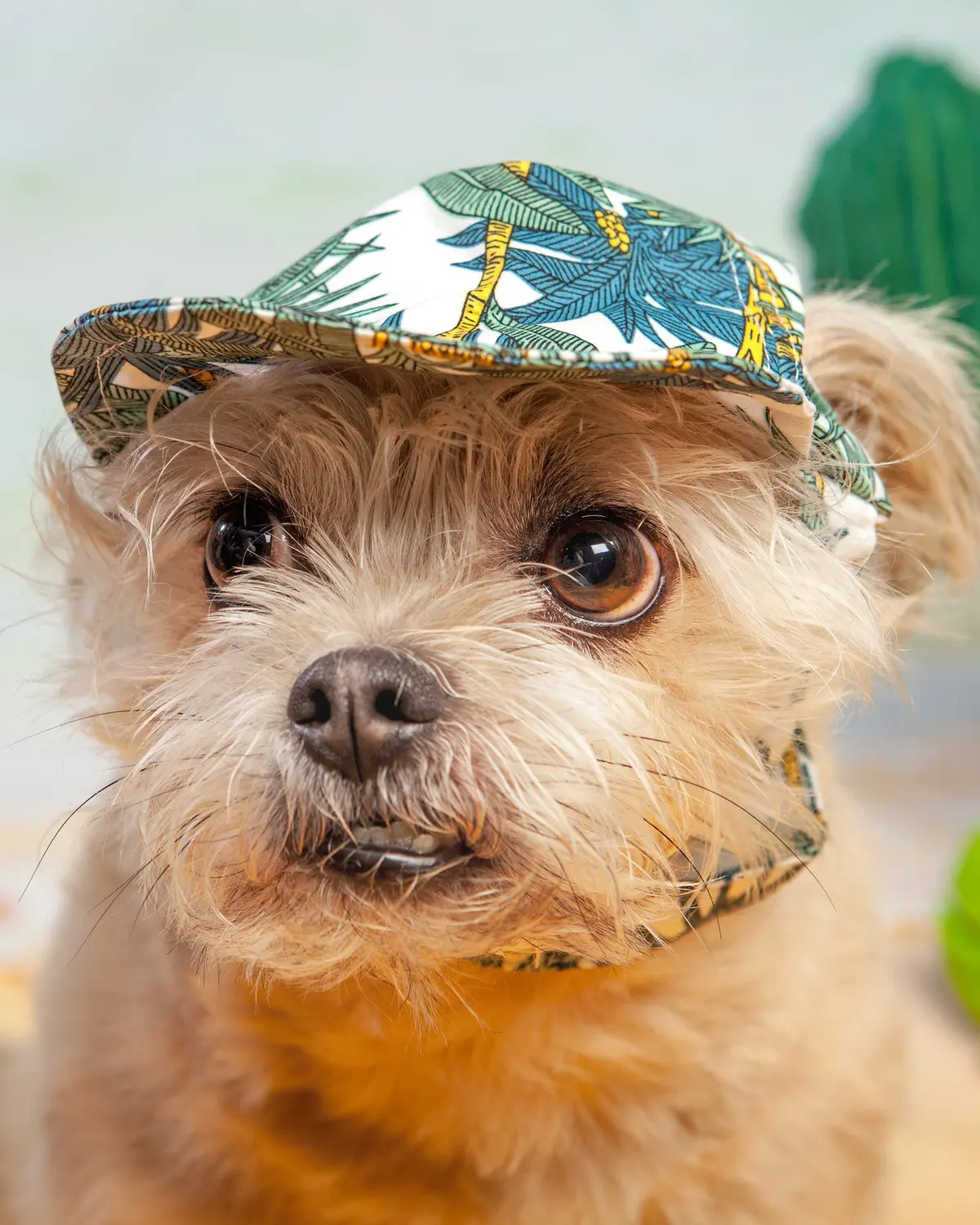 Tropical Leaf Hat (Final Sale) 1