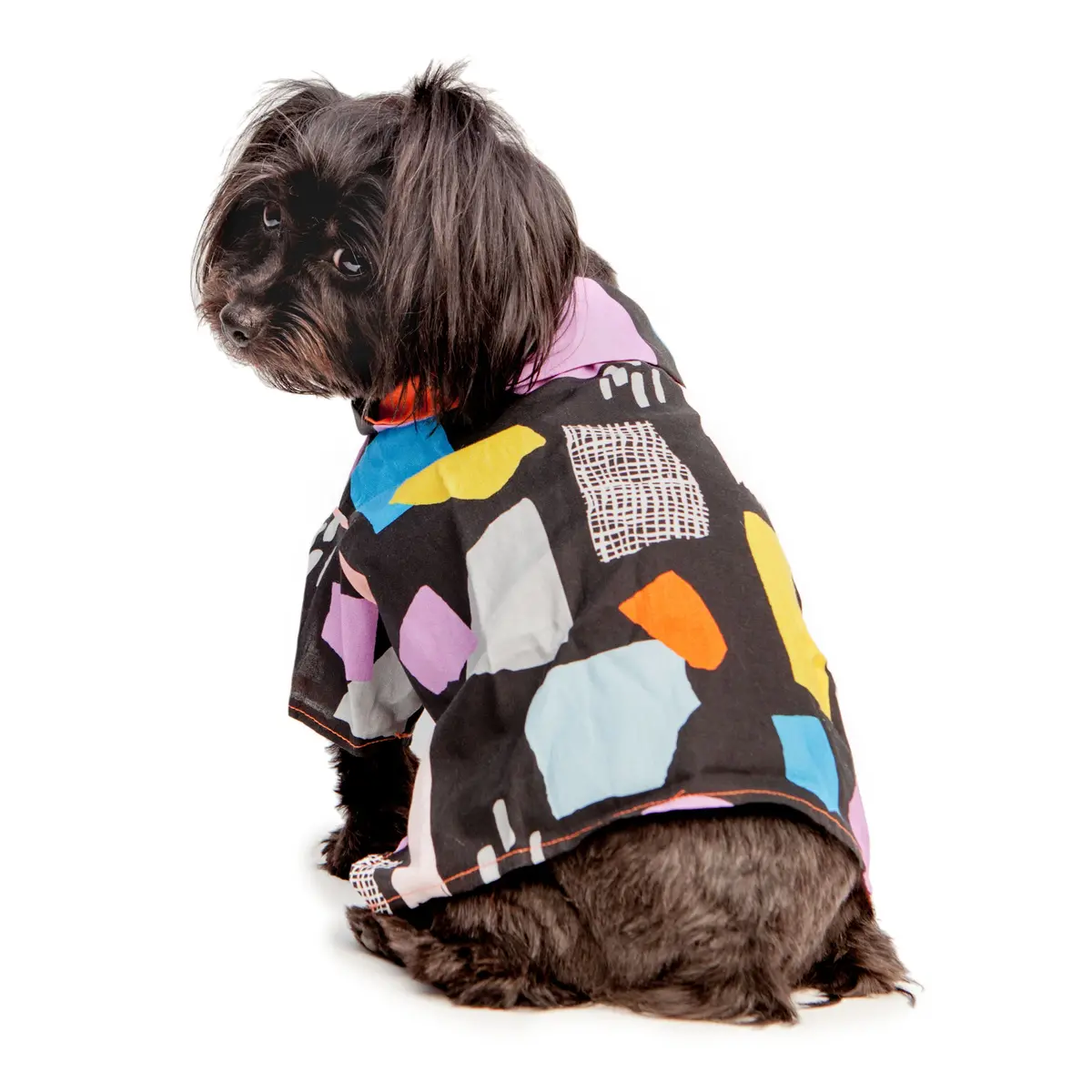 Dog Threads | Modern Abstract Shirt In Black 2