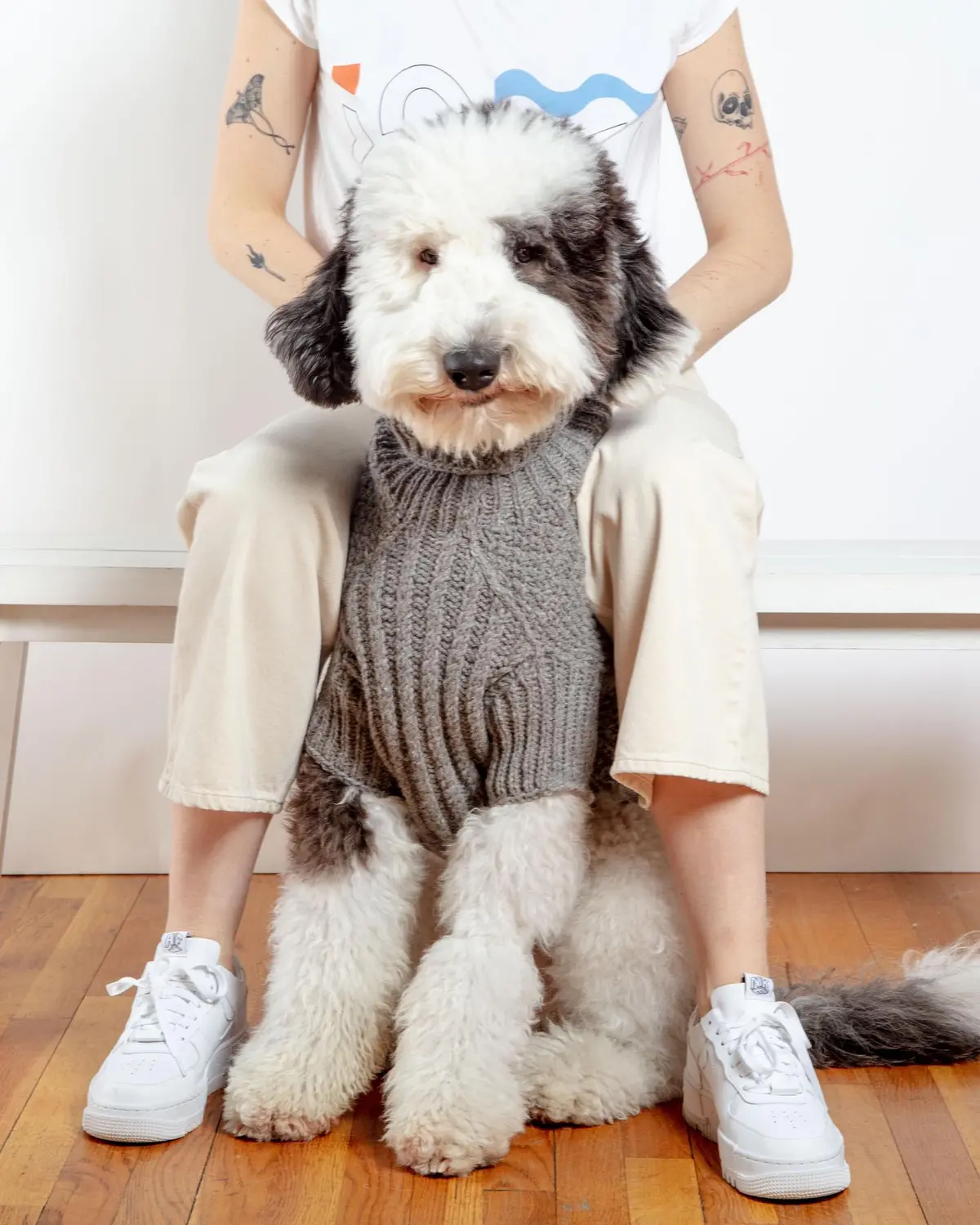 Downtown Roll Neck Dog Sweater In Grey (Final Sale) 1