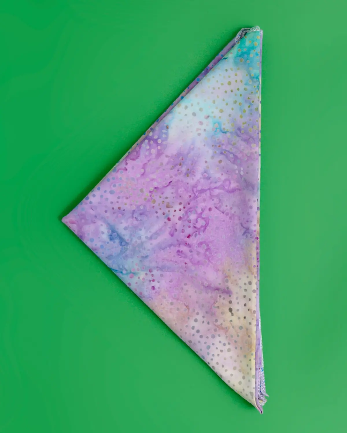 Flounder Dog Bandana (Final Sale) 1