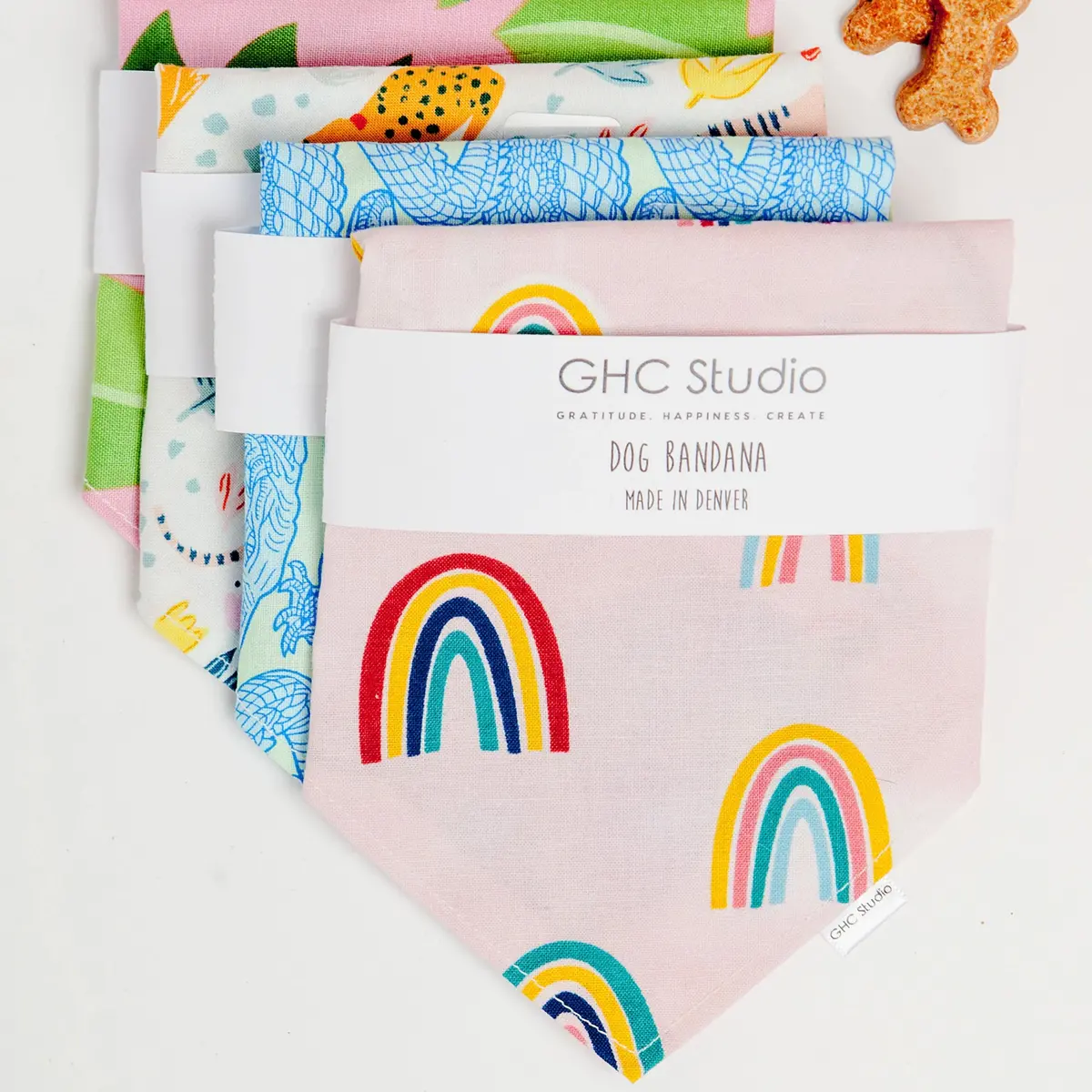 Rainbow Bandana 1