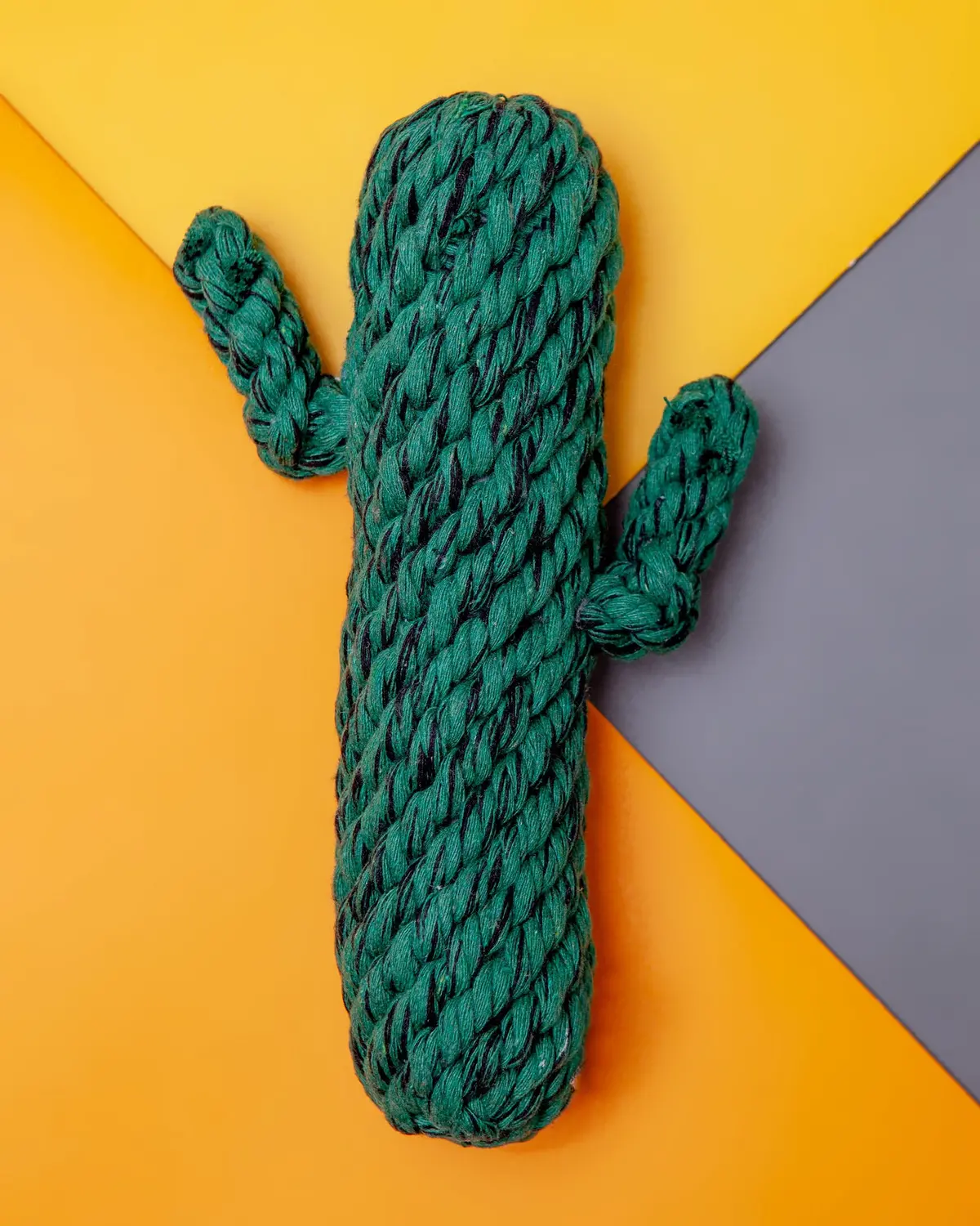 Cactus Rope Dog Toy 1