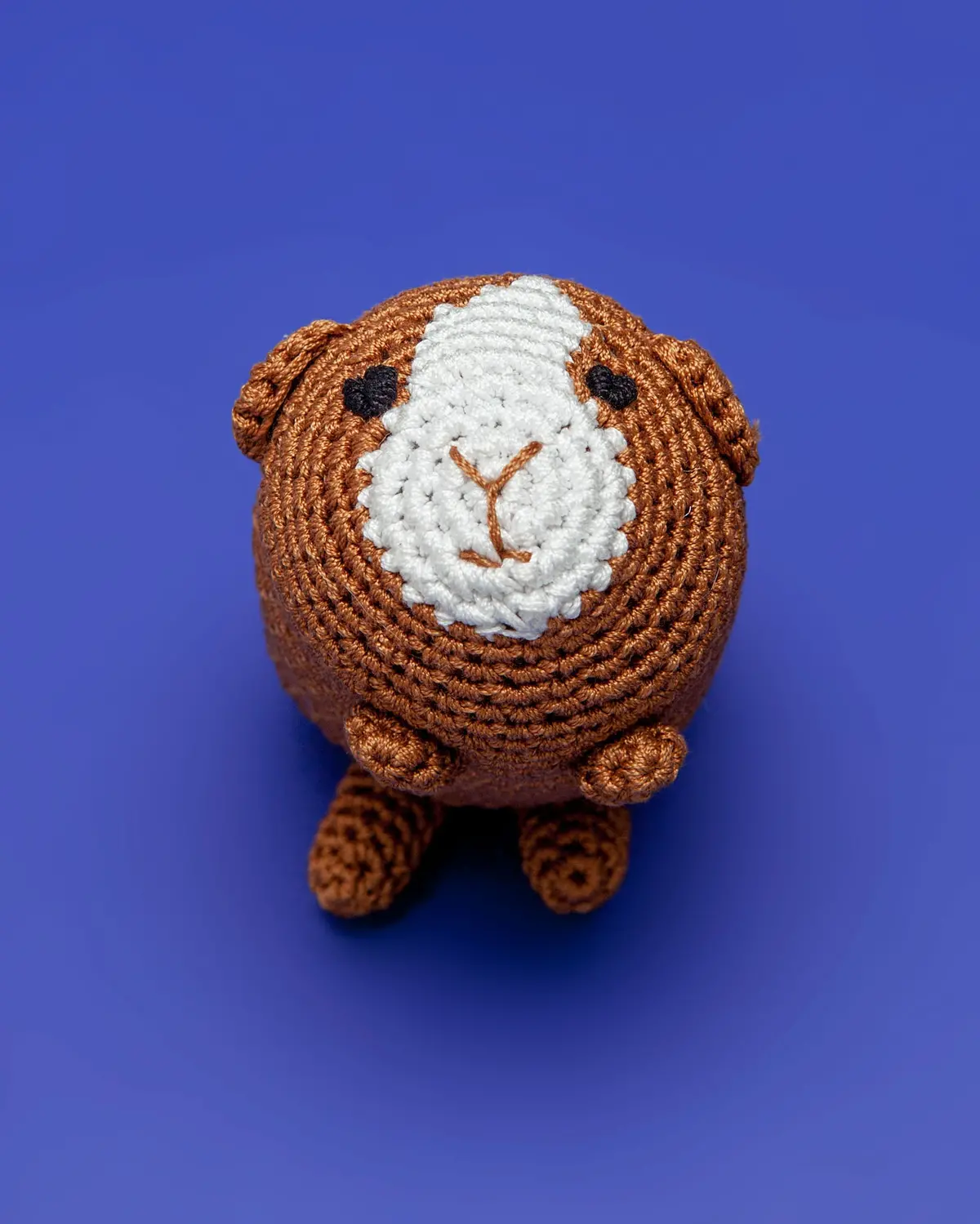 Guinea Pig Organic Knit Dog Toy 1