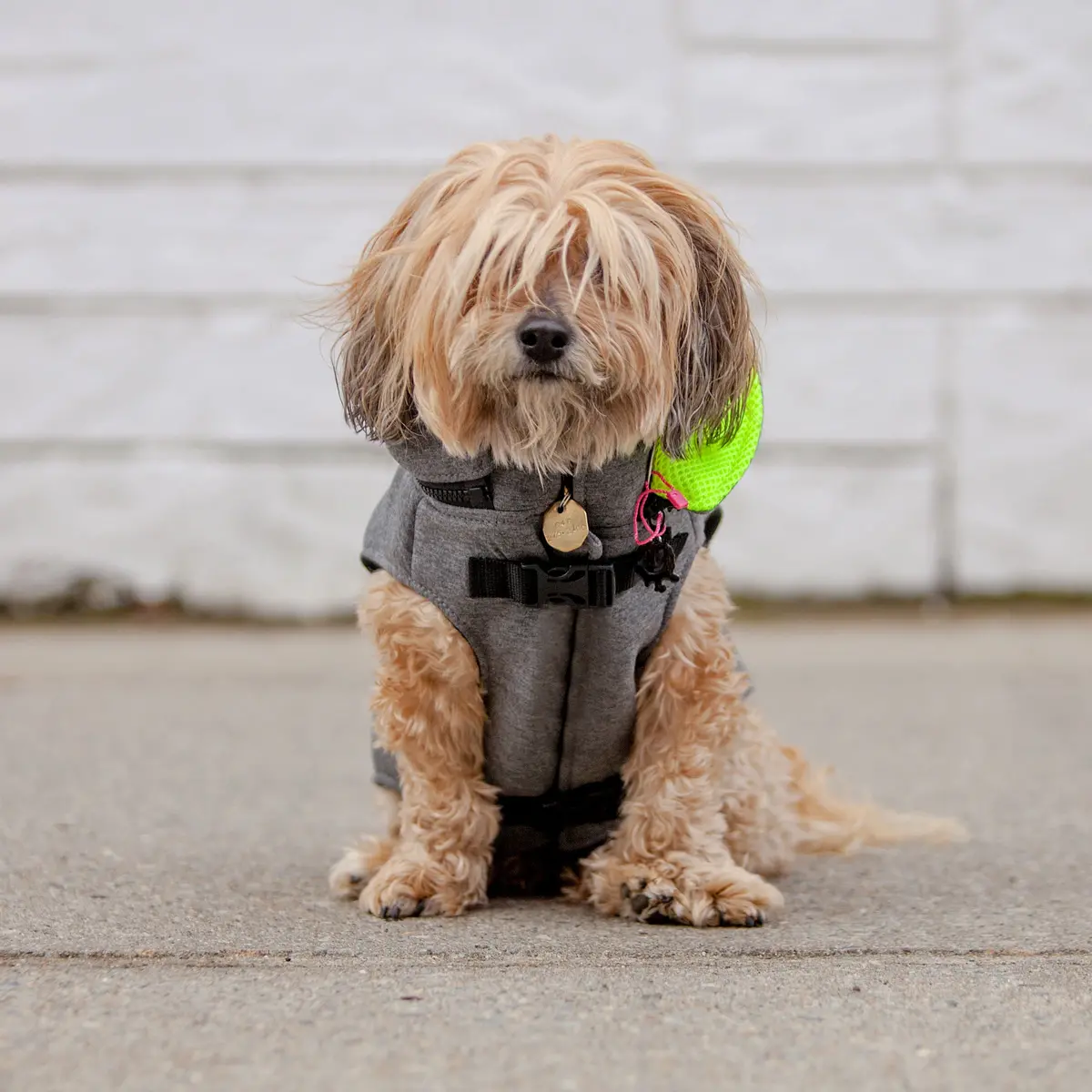Morikukko | Hoodie Backpack Vest In Grey And Neon 2