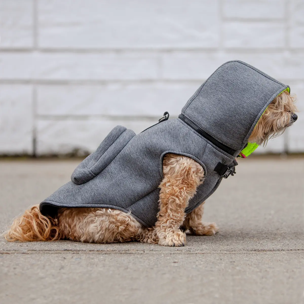 Morikukko | Hoodie Backpack Vest In Grey And Neon 1