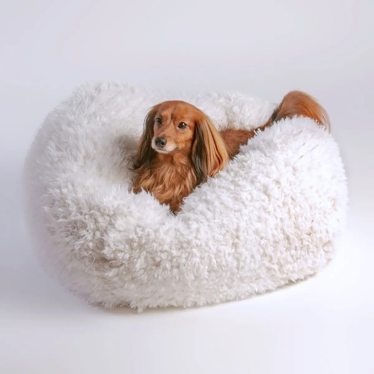 Pod Bed In Ivory (Custom/Direct-Ship) (Made In The Usa) 1