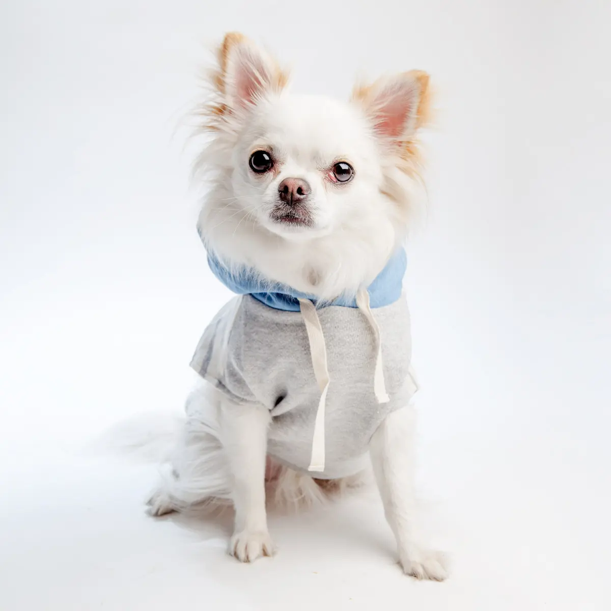 Oh Pop Dog | Grey Stripe Hoodie 1
