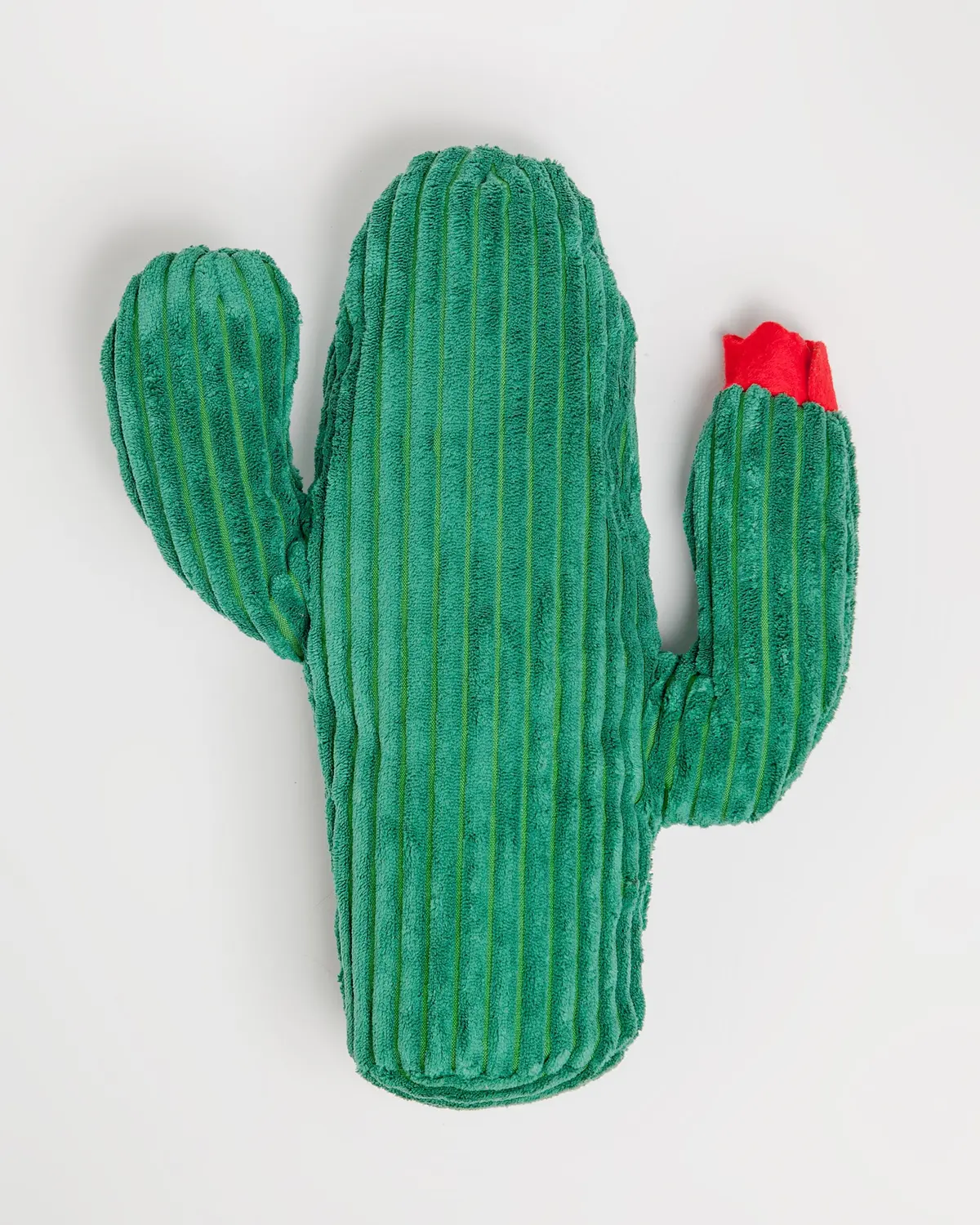 Cactus Plush Toy (Final Sale) 1