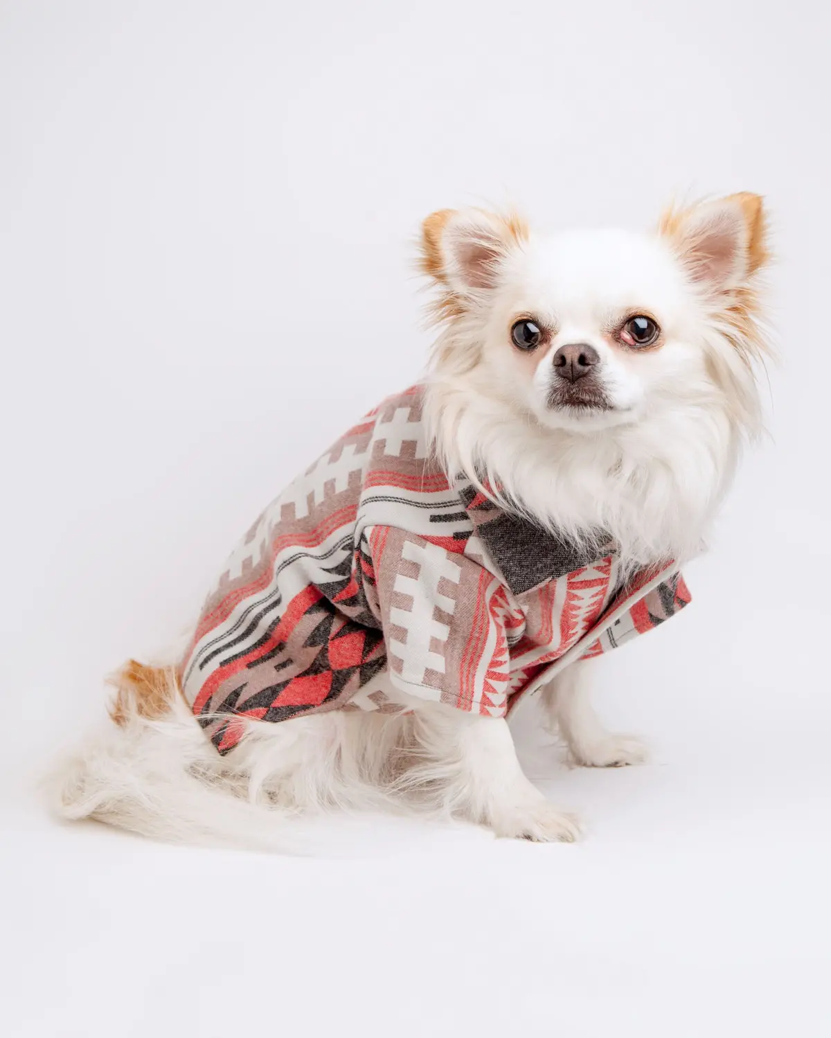 Sahara Flannel (Final Sale) 1
