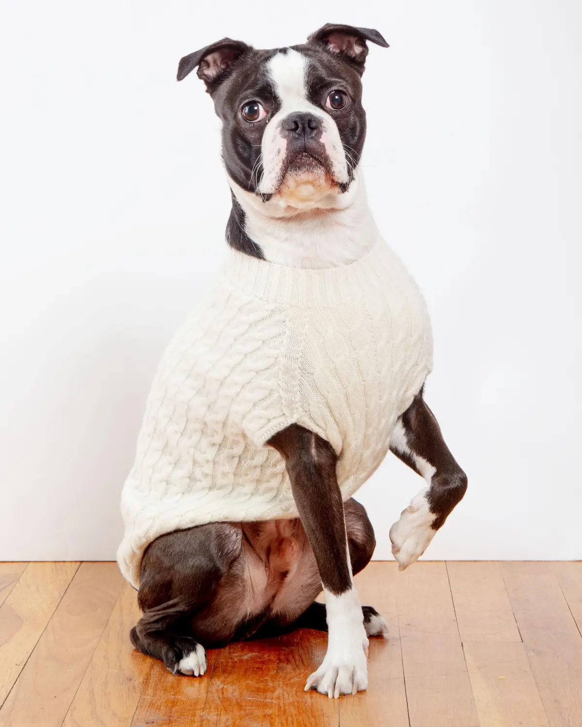 The Uptown Cable Knit Sweater In Natural Cashmere (Made In Nyc) (Final Sale) 1