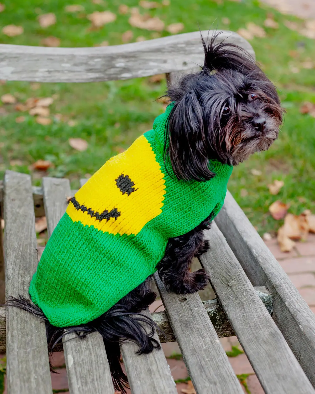 Smiley Face Dog Sweater (Dog & Co. Exclusive) 1