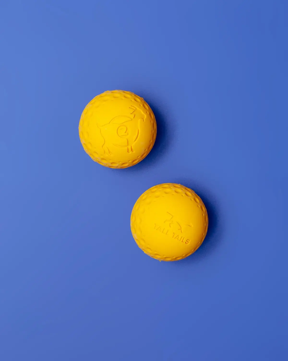 Rubber Floating Dog Ball Toy 1