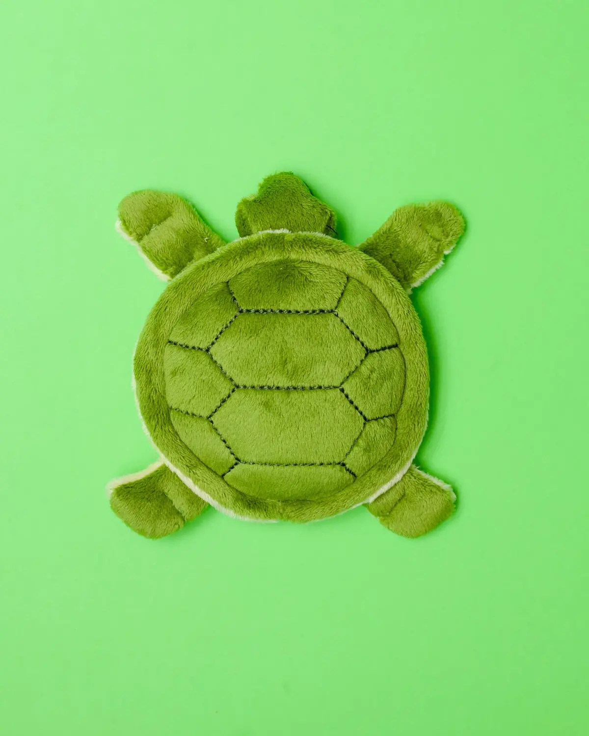Shelly Turtle Squeaky Dog Plush Toy 1