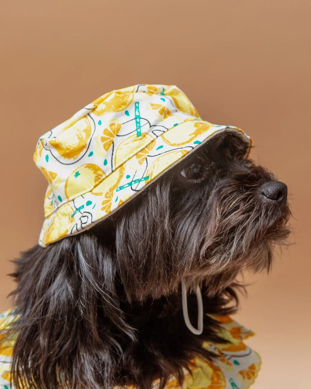 Lemonade Bucket Hat For Dogs << Final Sale >> 1