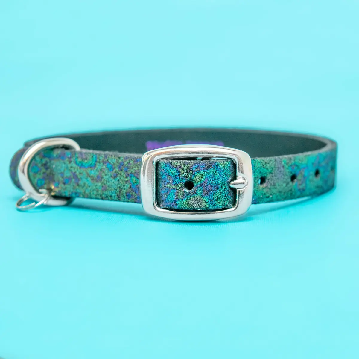 The Cleo Leather Tag Collar In Oil Slick Sparkle (Exclusive To Dog & Co.) << Final Sale >> 1