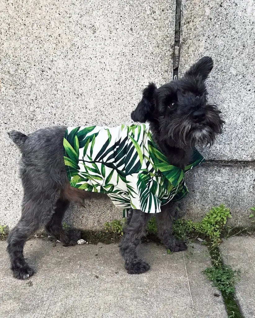Dog Threads | Havana Palms Bbq Shirt 6