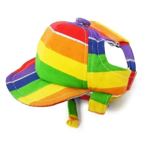Dogo | Rainbow Hat 1