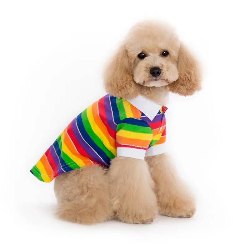 Dogo | Rainbow Polo 1