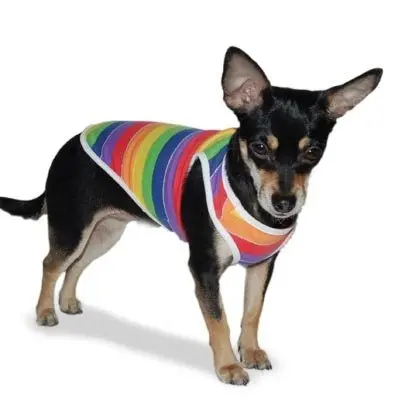 Dogo | Rainbow Tank 1