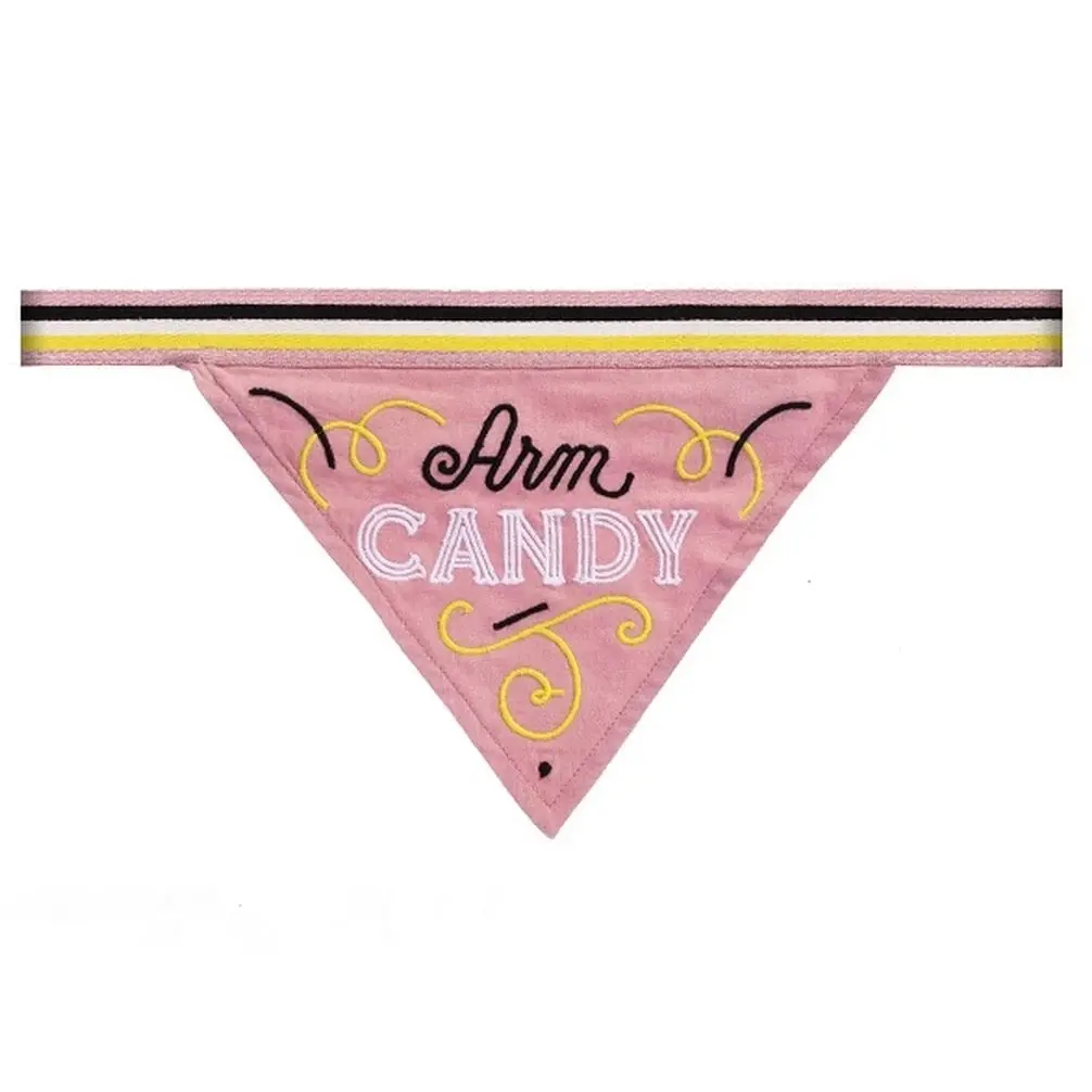 Easy Tiger | Arm Candy Dog Bandana 1