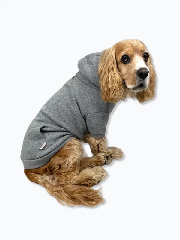Pullover Dog Hoodie In Grey (Final Sale) 1