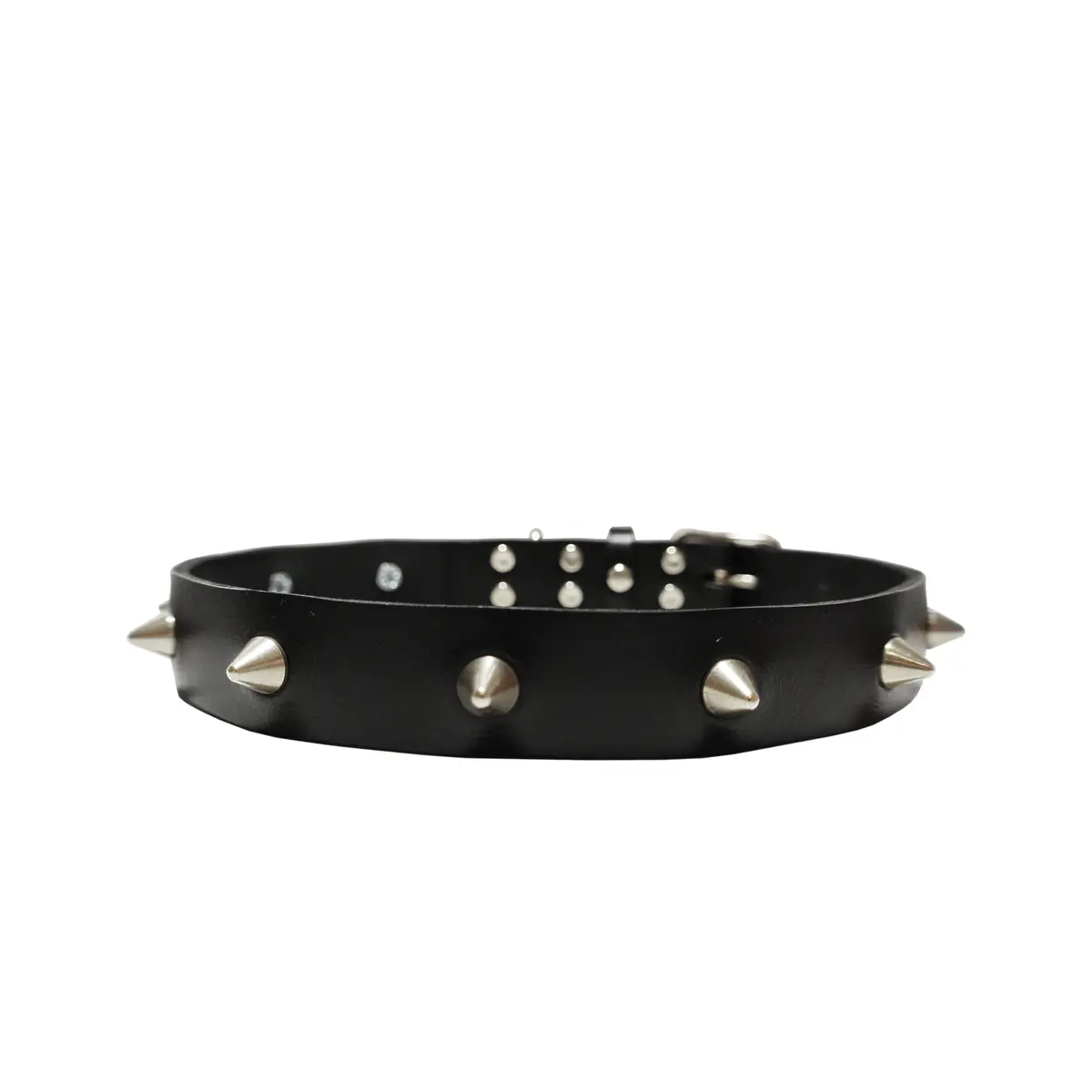 Eye Of Dog | Black Spike Collar 1