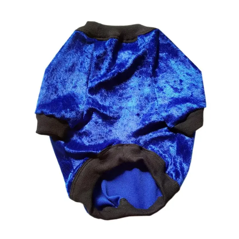 Eye Of Dog | Electric Blue Top 1