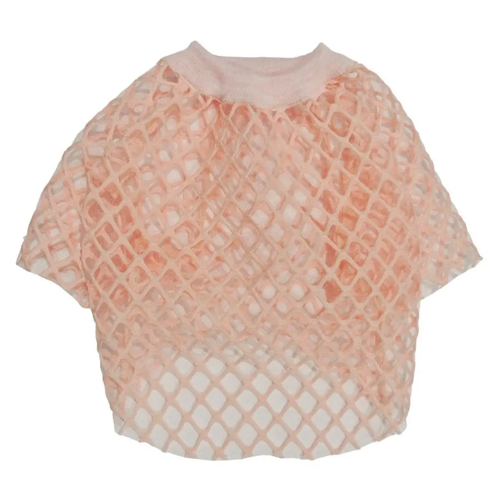 Eye Of Dog | Mesh'n Around Top In Pink 1