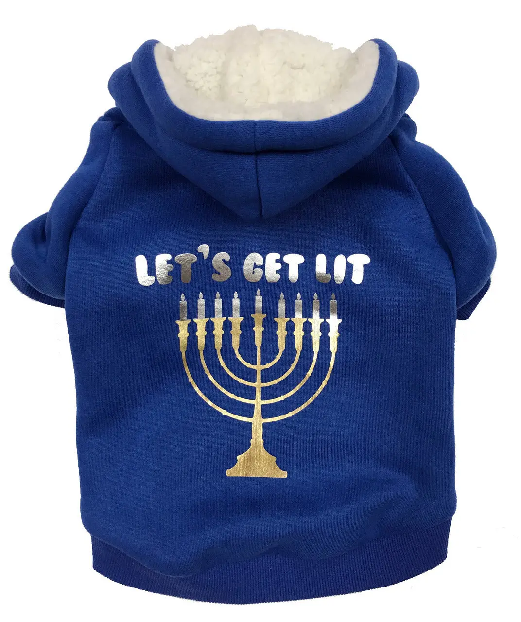 Fab Dog | Get Lit Hoodie In Blue 1