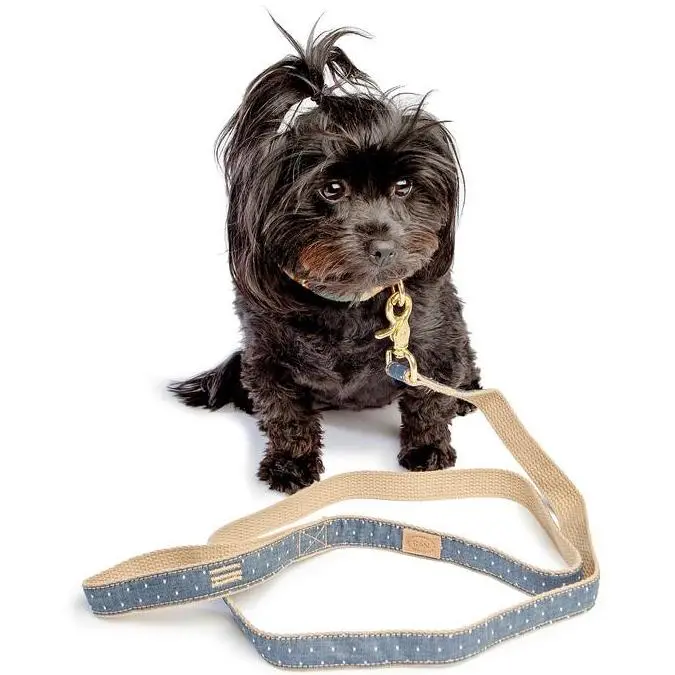 Finnegan's Standard Goods | Denim Pin Dot Lead 1