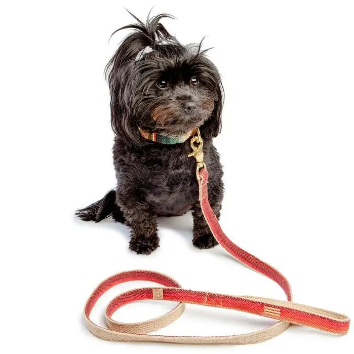 Finnegan's Standard Goods | Sunset Lead 1